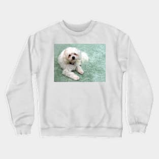 Muffy Crewneck Sweatshirt